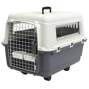 lot 35760 image: SportPet Designs Plastic Kennels Rolling Plastic Wire Door Travel Dog Crate, Gray  (Med)