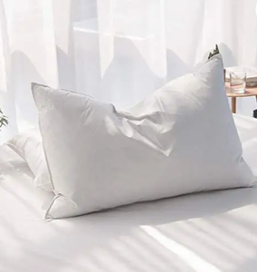 lot 37958 image: AIKOFUL Luxury Goose Feathers Down Pillow  (Queen)