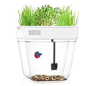 lot 37964 image: Back to the Roots Self Watering Indoor Aquaponic Garden and Fishtank  (3 Gallon)