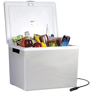 lot 48727 image: Koolatron Thermoelectric Iceless 12 Volt Cooler Warmer, Grey and White   (36qt)   (Missing cord) (SOLD AS IS)