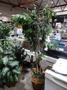 lot 1357 image: 6 ft artificial tree