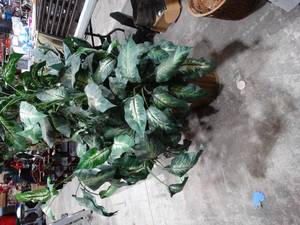 lot 1358 image: 5 ft artificial plant
