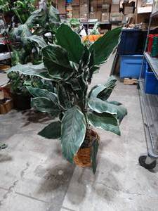 lot 1360 image: 3 12 ft artificial plant