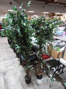 lot 1362 image: 2- 6 ft artificial trees