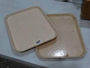 lot 1431 image: 2 Plastic Trays