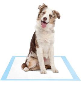 lot 58472 image: Amazon Brand - Solimo Super Absorbent Puppy Pads