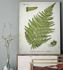 lot 47251 image: Wexford Home Botanical Plate XXII Canvas