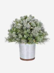 lot 16099 image: Holiday Living Item 4986269 2FT Rustic LT Pine Porch Bunch