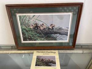 lot 5645 image: Alan hunt duckling picture