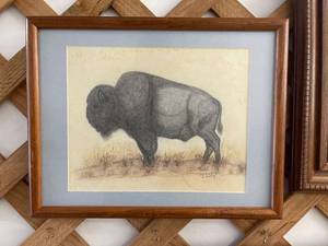 lot 5663 image: buffalo picture