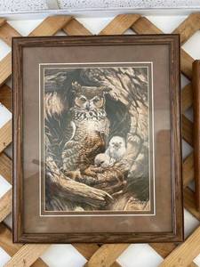 lot 5670 image: owl picture