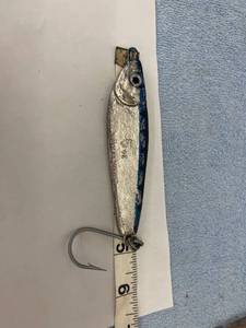 lot 4176 image: 5 oz crippled herring