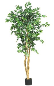 lot 58290 image: Nearly Natural Artificial Ficus Tree, Green  (5)