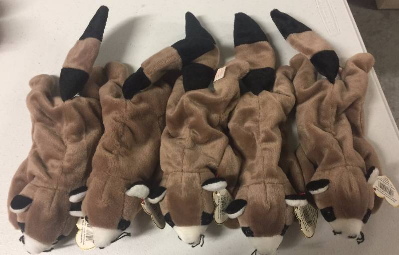 lot 1222 image: Five (5) New Mint Ty Beanie Babies Ringo the Raccoon with Mint Tags