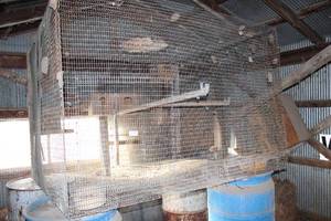 lot 18011 image: Metal Animal Cage