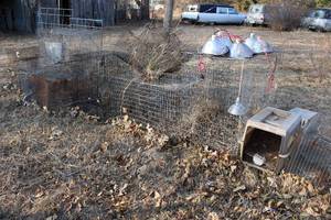 lot 18019 image: Small Animal Cages and Lights