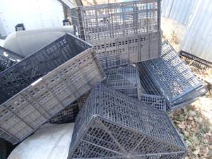 lot 11107 image: Lot of Plastic Crates