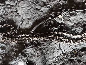 lot 11172 image: 10Ft Heavy Duty Chain    West 12 of West Barn