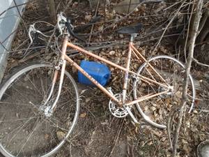 lot 11185 image: 10 Speed and Tandem Bike