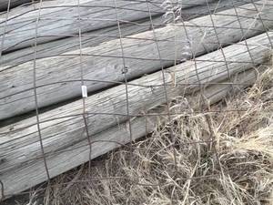lot 11206 image: Lot of Metal Fencing Along Southwest end of Property