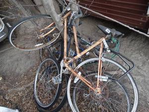 lot 11212 image: Pile of Old Bikes  Bring a Saw for the Trees