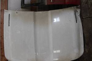 lot 18095 image: Duramax Truck Hood