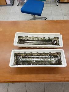 lot 8489 image: pair planters