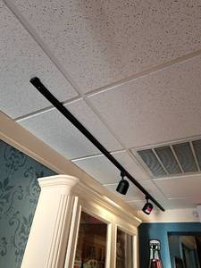 lot 32435 image: 8ft Track Light 2 Bulbs