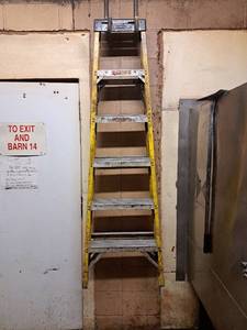 lot 44877 image: Werner 6ft Ladder
