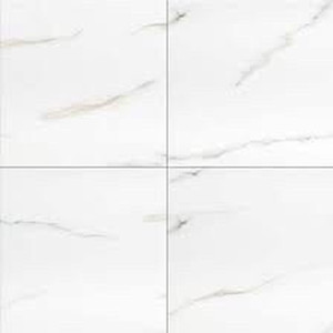 lot 2832 image: 24 in. x 24 in. Polished Porcelain Floor and Wall Tile (16 sq. ft.  case)(28 cases  448sq ft)