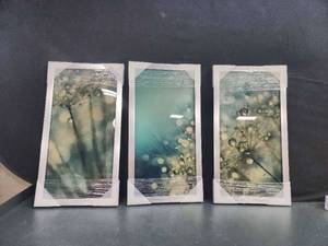 lot 72557 image: 3 Piece metal picture frame 14X26