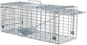 lot 27901 image: Ant March Live Animal Cage