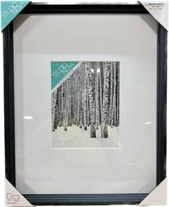 lot 58901 image: Studio Nova Frame for 8 x 10 Image - Frame is 21 x 17