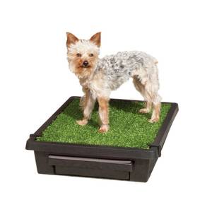 lot 72683 image: PetSafe Pet Loo Portable Dog Potty - Pet Toilet Alternative for Puppy Pads - Small - Perfect for House Training