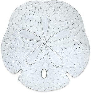 lot 5723 image: Hand-Carved Coastal White Sand Dollar Shell Beach Wall Decor