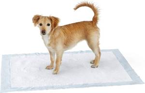 lot 1174 image: Amazonbasics Pet Training Pads, Extra-Large, 60 Pack