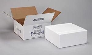 lot 2442 image: Thermo Chill Insulated Shipper 22x15x19