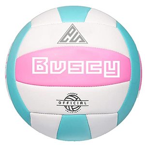 lot 921 image: Pink and Blue Volleyball