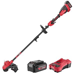 lot 62769 image: POWERWORKS Weed Eater String Trimmer  (15)