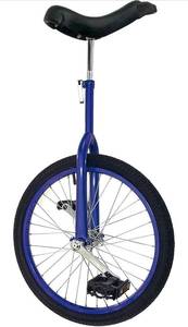lot 41869 image: Fun 20 Inch Wheel Unicycle with Alloy Rim