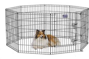 lot 73055 image: MidWest Foldable Metal Dog Exercise Pen  Pet Playpen