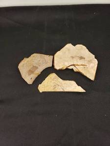 lot 6634 image: set fossilized rocks