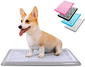 lot 7007 image: Pet Awesome Dog Potty Tray  Puppy Pee Pad Holder 25��x20�� Indoor Wee Training for Small and Medium Dogs