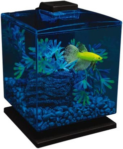 lot 7058 image: GloFish Betta Aquarium Kit 1.5 Gallons, Easy Setup and Maintenance, Perfect Starter Tank