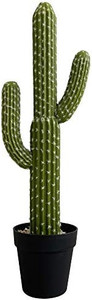 lot 8002 image: momoplant Artificial Cactus Succulent Plant, 24 Inch Faux Fake Desert Cacti Plant with Black Planter for Home Garden Office Floor Decor