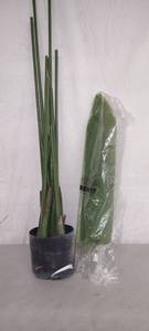 lot 8043 image: Artificial Paradise Plant