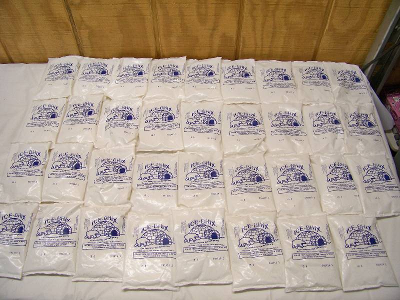 lot 44 image: 35 Polar Tech Ice Brix