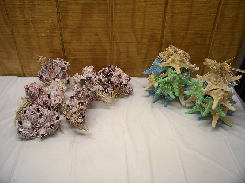 lot 47 image: Seashells