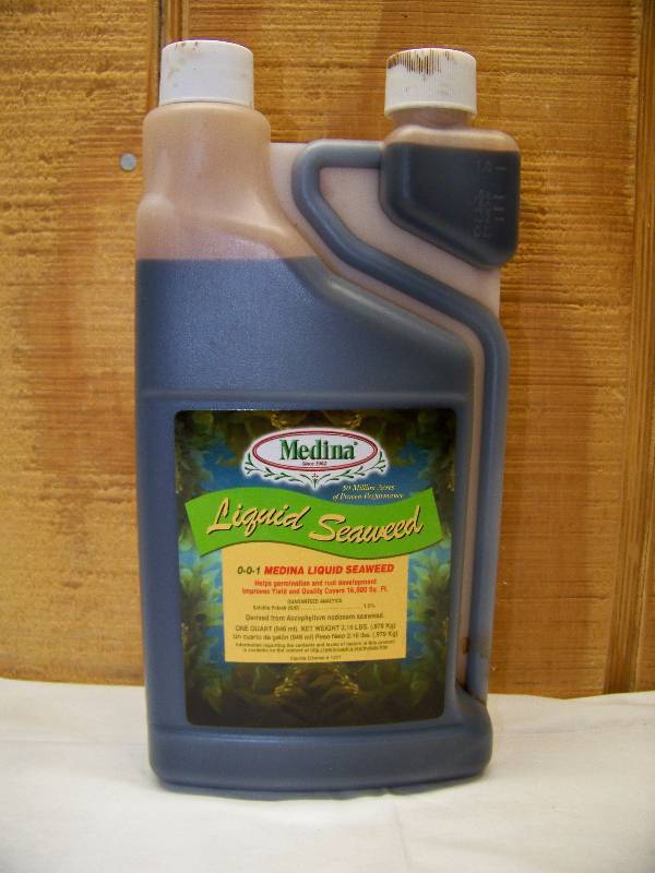 lot 74 image: 11 Quarts Medina Liquid Seaweed Fertilizer
