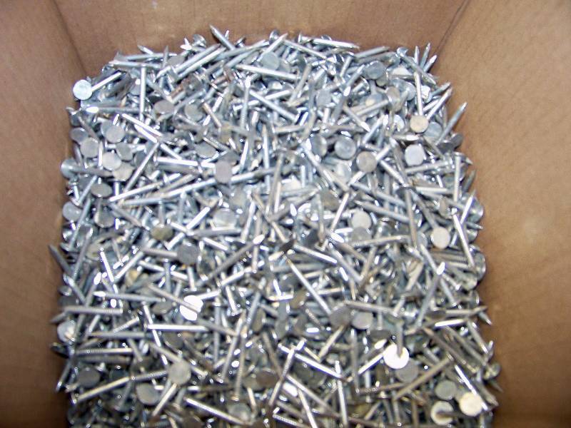 lot 370 image: 20 Pounds Electro Galvenized Roofing Nails